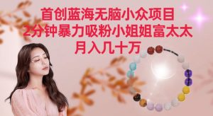 首创蓝海无脑小众项目,2分钟暴力吸粉小姐姐富太太,月入几十万【揭秘】-润泽资源库