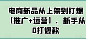 电商新品从上架到打爆【推广+运营】，新手从0打爆款-润泽资源库