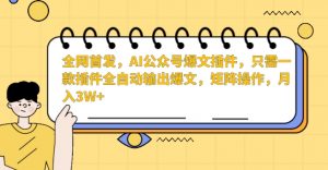 全网首发，AI公众号爆文插件，只需一款插件全自动输出爆文，矩阵操作，月入3W+【揭秘】-润泽资源库