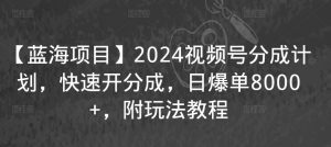 【蓝海项目】2024视频号分成计划,快速开分成,日爆单8000+,附玩法教程-润泽资源库