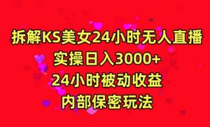 利用快手24小时无人美女直播,实操日入3000,24小时被动收益,内部保密玩法【揭秘】-润泽资源库