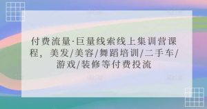 付费流量·巨量线索线上集训营课程，美发/美容/舞蹈培训/二手车/游戏/装修等付费投流-润泽资源库