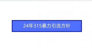 24年315暴力引流方针-润泽资源库