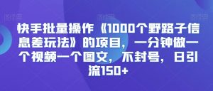 快手批量操作《1000个野路子信息差玩法》的项目，一分钟做一个视频一个图文，不封号，日引流150+【揭秘】-润泽资源库