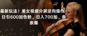 最新玩法！美女视频分屏逆向操作~日引600加色粉，日入700加，条条爆【揭秘】-润泽资源库