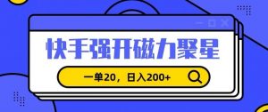 信息差赚钱项目，快手强开磁力聚星，一单20，日入200+【揭秘】-润泽资源库