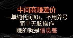 中间商赚差价，一单纯利润30+，简单无脑操作，赚的就是信息差，轻轻松松日入1000+【揭秘】-润泽资源库