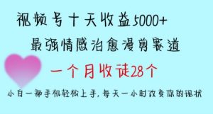 十天收益5000+,多平台捞金,视频号情感治愈漫剪,一个月收徒28个,小白一部手机轻松上手【揭秘】-润泽资源库