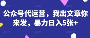 公众号代运营，我出文章你来发，暴力日入5张+【揭秘】-润泽资源库
