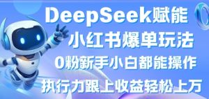 DeepSeek赋能小红书爆单玩法0粉新手小白都能操作,执行力跟上收益轻松上W,懒人勿做-润泽资源库