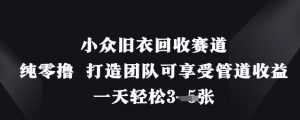小众旧衣回收赛道，纯零撸 打造团队可享受管道收益，一天轻松3张-润泽资源库