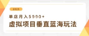 虚拟项目垂直玩法，实现单店月入5k+-润泽资源库