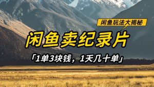 闲鱼卖纪录片1单3块钱,1天几十单,项目稳定有潜力-润泽资源库