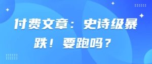 付费文章：史诗级暴跌！要跑吗？-润泽资源库