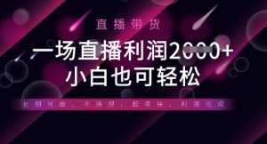 半无人直播带货,一场利润数张,适合所有平台玩法,小白也可轻松-润泽资源库