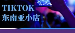 Tiktok东南亚跨境小店运营班，一门专业的TK小店运营培训课-润泽资源库