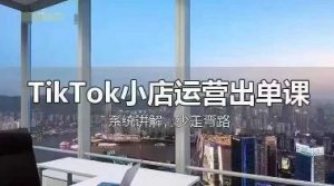 TikTok小店运营出单课，从开店选品、运营出单、发货回款，进行全流程讲解-润泽资源库
