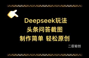 Deepseek头条问答截图，制作简单，轻松原创-润泽资源库