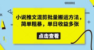 小说推文混剪批量搬运方法，简单粗暴，单日收益多张-润泽资源库