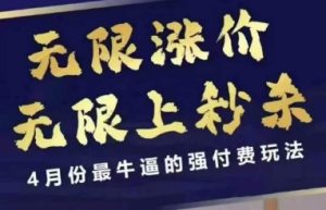 4月12号拼多多线上课,无限涨价,无限上秒杀,4月份最牛逼的强付费玩法-润泽资源库