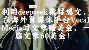 出海搞钱！利用deepseek撰写爆文，在海外自媒体平台Vocal Media写文章挣美金，一篇文章60刀-润泽资源库