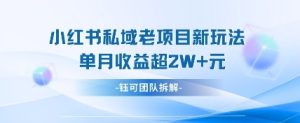 小红书私域项目新玩法，单月变现过W+-润泽资源库