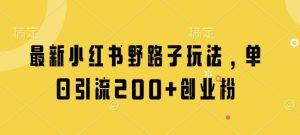 最新小红书野路子玩法，单日引流200+创业粉-润泽资源库