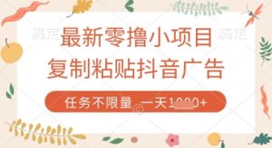 最新零撸小项目，复制粘贴抖音广告即可挣钱，平台大水，任务不限量，一天数张【揭秘】-润泽资源库