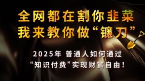 全网都在割你韭菜,我来教你做镰刀,2025普通人如何通过知识付费,实现财F自由【揭秘】-润泽资源库