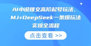 AI小说推文高阶起号玩法，MJ+DeepSeek一条爆玩法实操全流程-润泽资源库