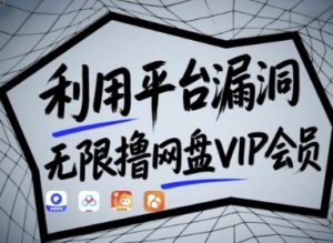 利用平台漏洞，无限撸网盘VIP会员，用户亲测有效!【漏洞原理+操作演示】-润泽资源库