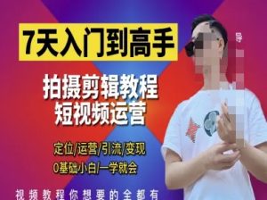 7天入门到高手，短视频剪辑运营高手课，定位 运营 引|流 变现，0基础小白一学就会-润泽资源库
