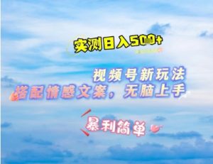 微信视频号最新玩法，表情包搭配情感文案，2分钟一条原创作品，简单好上手，轻松日入几张-润泽资源库