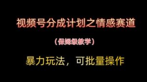 视频号分成计划之情感赛道暴力玩法,可批量操作,保姆级教学-润泽资源库
