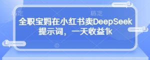 全职宝妈在小红书卖DeepSeek提示词,一天收益1k-润泽资源库
