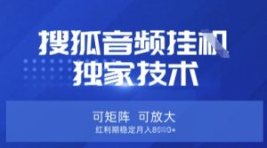 【搜狐音频挂G】独家技术,可矩阵可放大,红利期稳定月入8k【揭秘】-润泽资源库