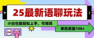 25年最新语聊玩法,纯手工,单机收益100+,小白也能轻松上手,可矩阵操作-润泽资源库