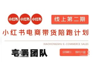 小红书电商带货课2期,月利润20个的小红书电商的有货源,无货源,虚拟产品,付费投流等整套玩法-润泽资源库