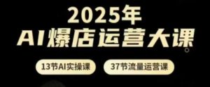 2025年AI爆店运营大课，13节AI实操课+37节流量运营课-润泽资源库