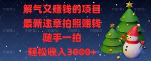 解气又挣钱的项目，最新违章拍照挣钱，随手一拍，轻松收入数张【揭秘】-润泽资源库