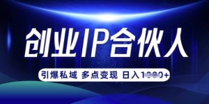 云帆·创业ip合伙人打造3.0，从0到1教你做网创，实现月入过W-润泽资源库