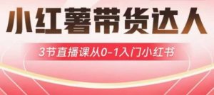 小红薯达人带货启航计划，3节直播课从0-1入门小红书-润泽资源库