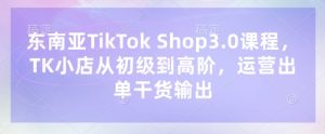 东南亚TikTok Shop3.0课程,TK小店从初级到高阶,运营出单干货输出-润泽资源库