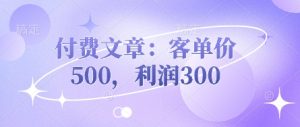 付费文章:客单价500,利润300-润泽资源库
