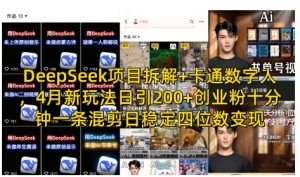 DeepSeek项目拆解+卡通数字人,4月新玩法日引200+创业粉十分钟一条混剪日稳定四位数变现-润泽资源库