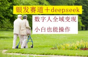银发赛道+deepseek数字人全域变现，小白也能操作-润泽资源库