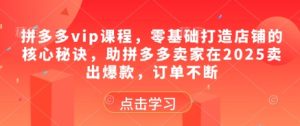拼多多vip课程,零基础打造店铺的核心秘诀,助拼多多卖家在2025卖出爆款,订单不断-润泽资源库