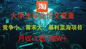 大学生毕业论文查重，暴利蓝海项目，月收入过1W+-润泽资源库