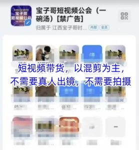宝子哥头部团队短视频带货,以混剪为主,不需要真人出镜,不需要拍摄-润泽资源库