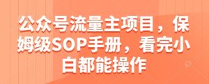 公众号流量主项目，保姆级SOP手册，看完小白都能操作-润泽资源库